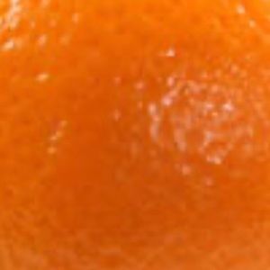 Meet your Posher, Maddy